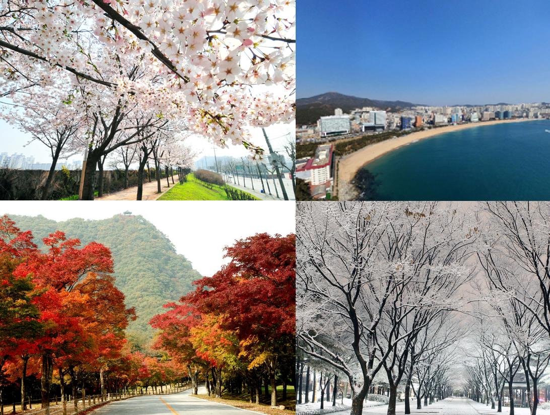 Korea vs China