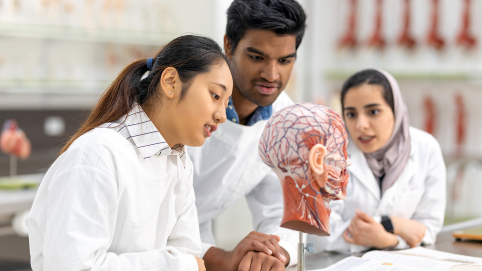 Global Admissions Medical Universities Online Open Day – January 2025