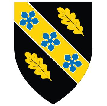University of Wales Trinity Saint David Logo