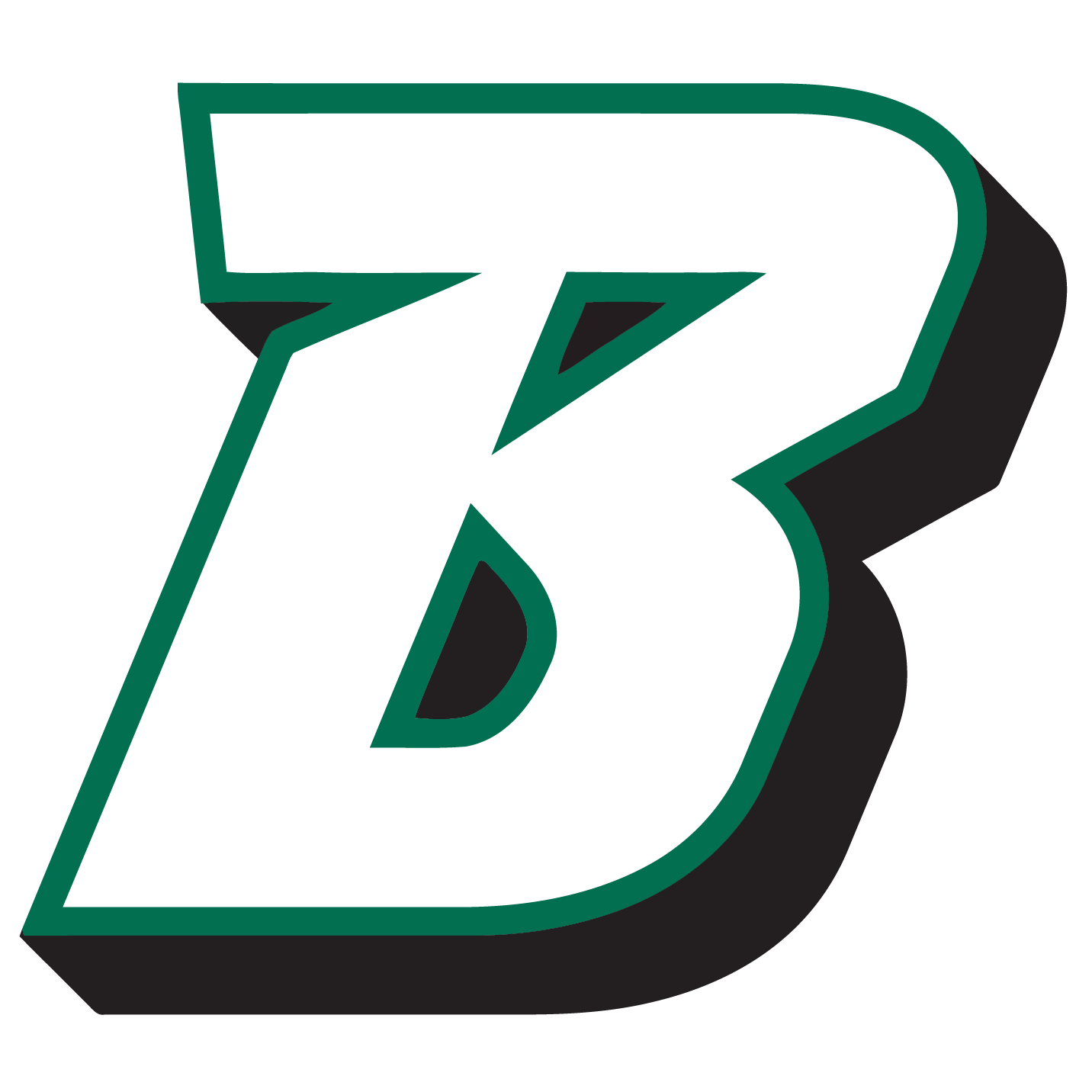 Binghamton University Logo