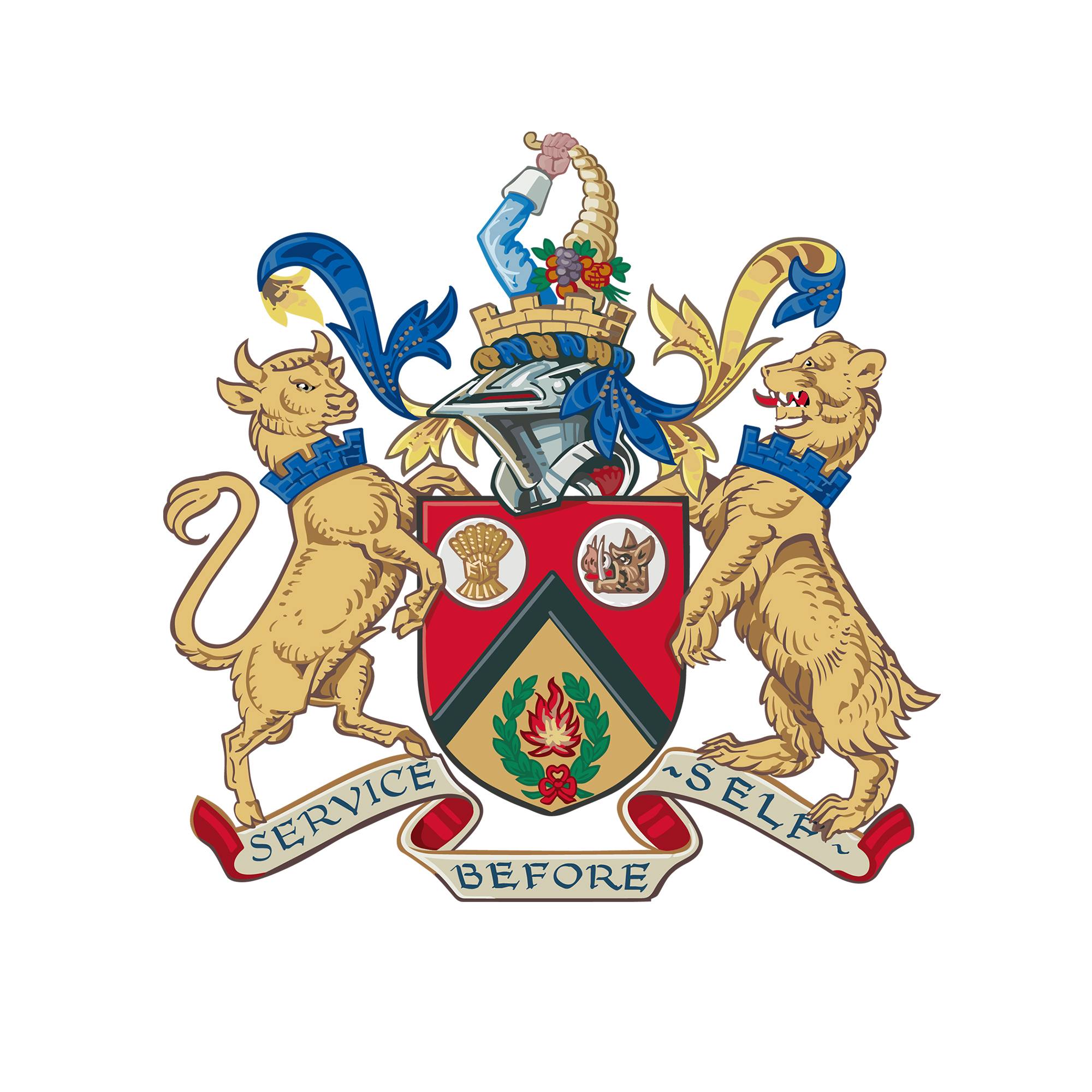 University College Birmingham Logo