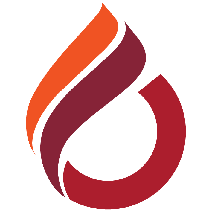 Cyprus International University, Nicosia Logo