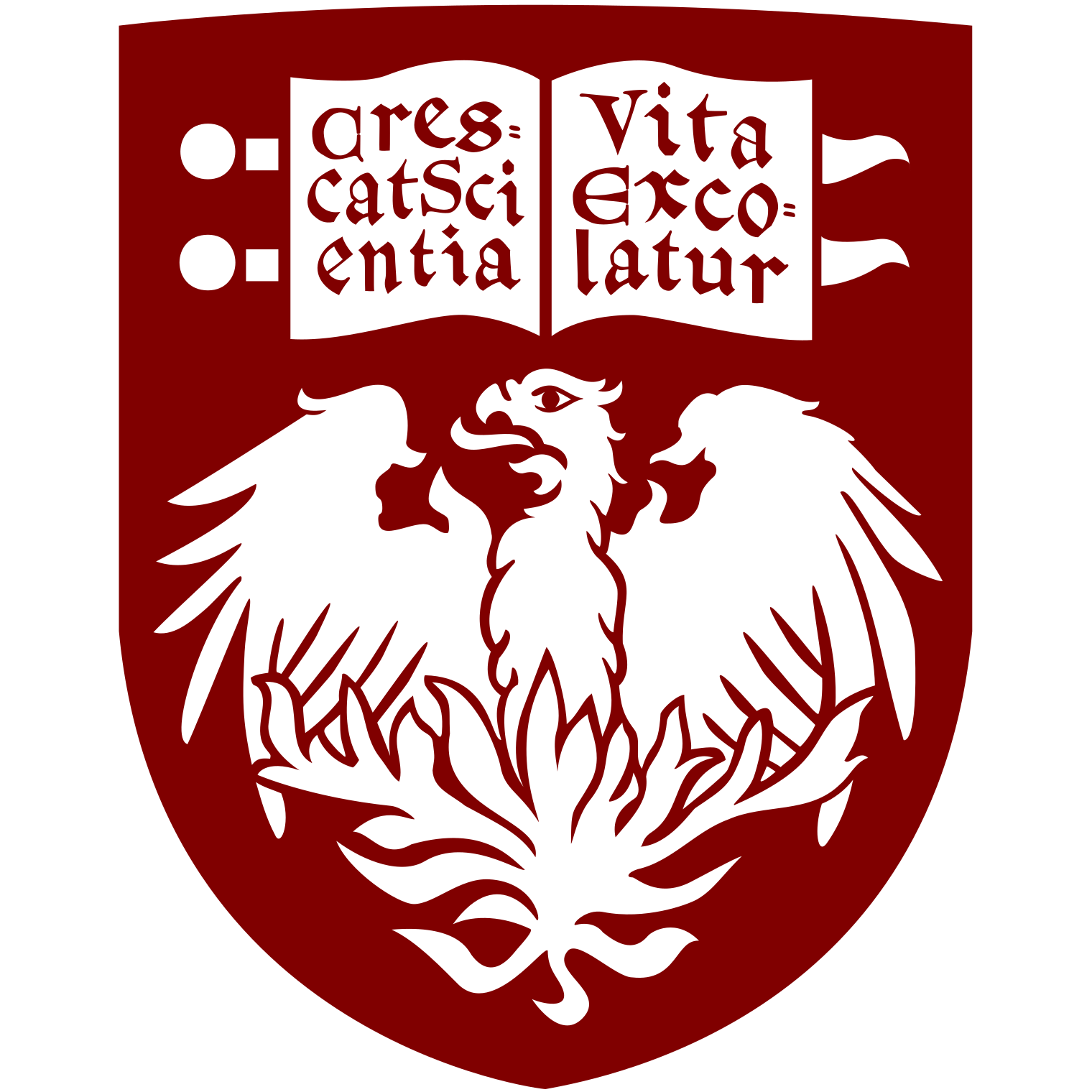 The University of Chicago Logo
